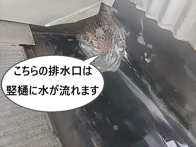 排水口　竪樋に水が流れる